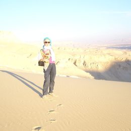 Egypten-Wste226