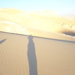 Egypten-Wste231