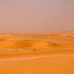 EgyptischeWste