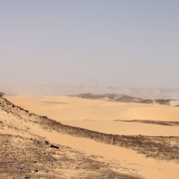 IMG_1567